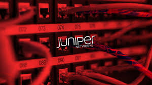 juniper